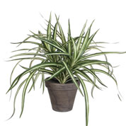 Planta Artificial - Dracaena - MICA